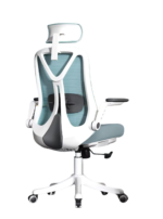Ergonomic Office Chair White / Blue