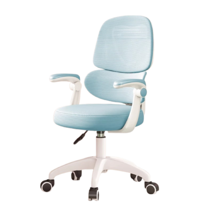 Kids Ergonomic Chairs - Blue Colour