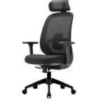 Elegant Laurel Ergonomic Chair with 3D Armrest - Black Colour