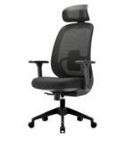 Elegant Laurel Ergonomic Chair with 3D Armrest - Black Colour